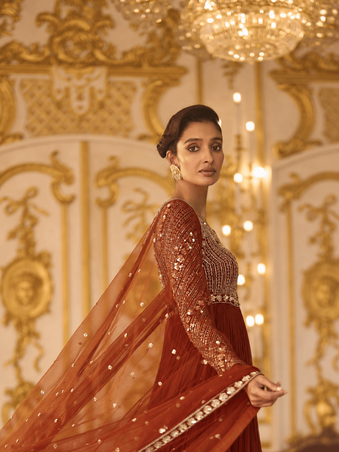 Rust Ember Embellished Gown Set