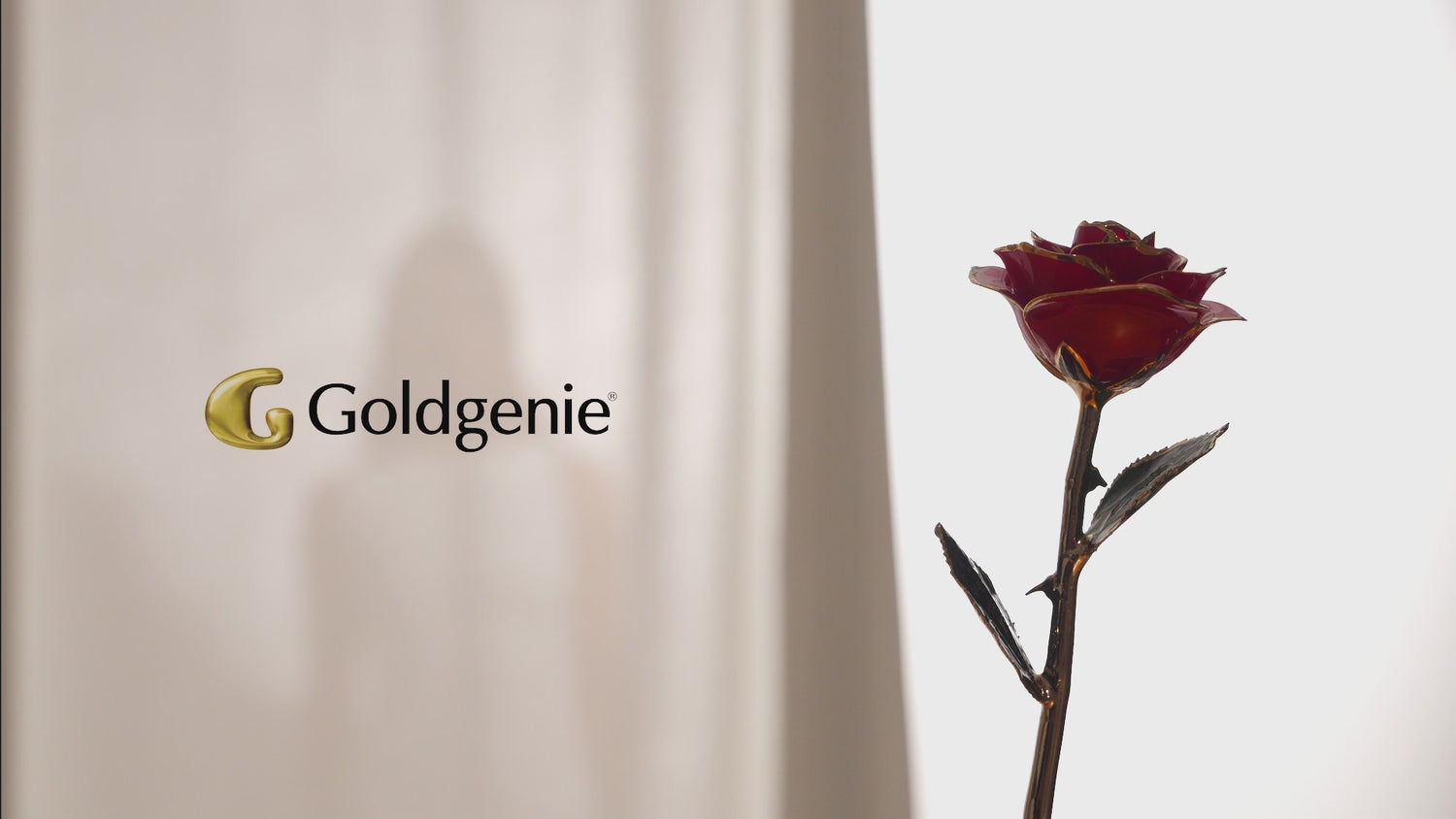 24k Gold Red Rose – in Luxury window pane gift case
